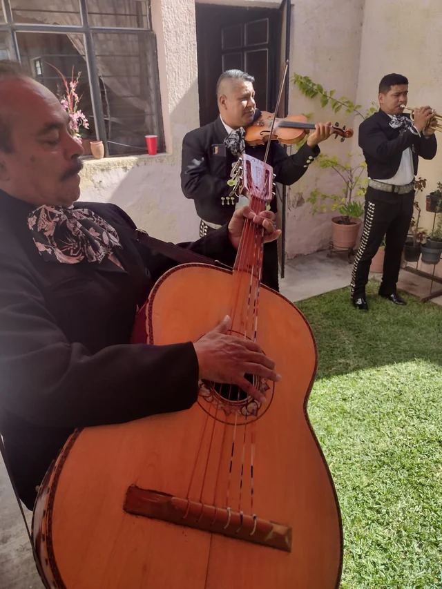 Músicos de Insignia con guitarrón, violín y trompeta en una serenata